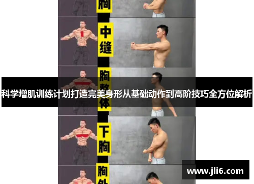 科学增肌训练计划打造完美身形从基础动作到高阶技巧全方位解析